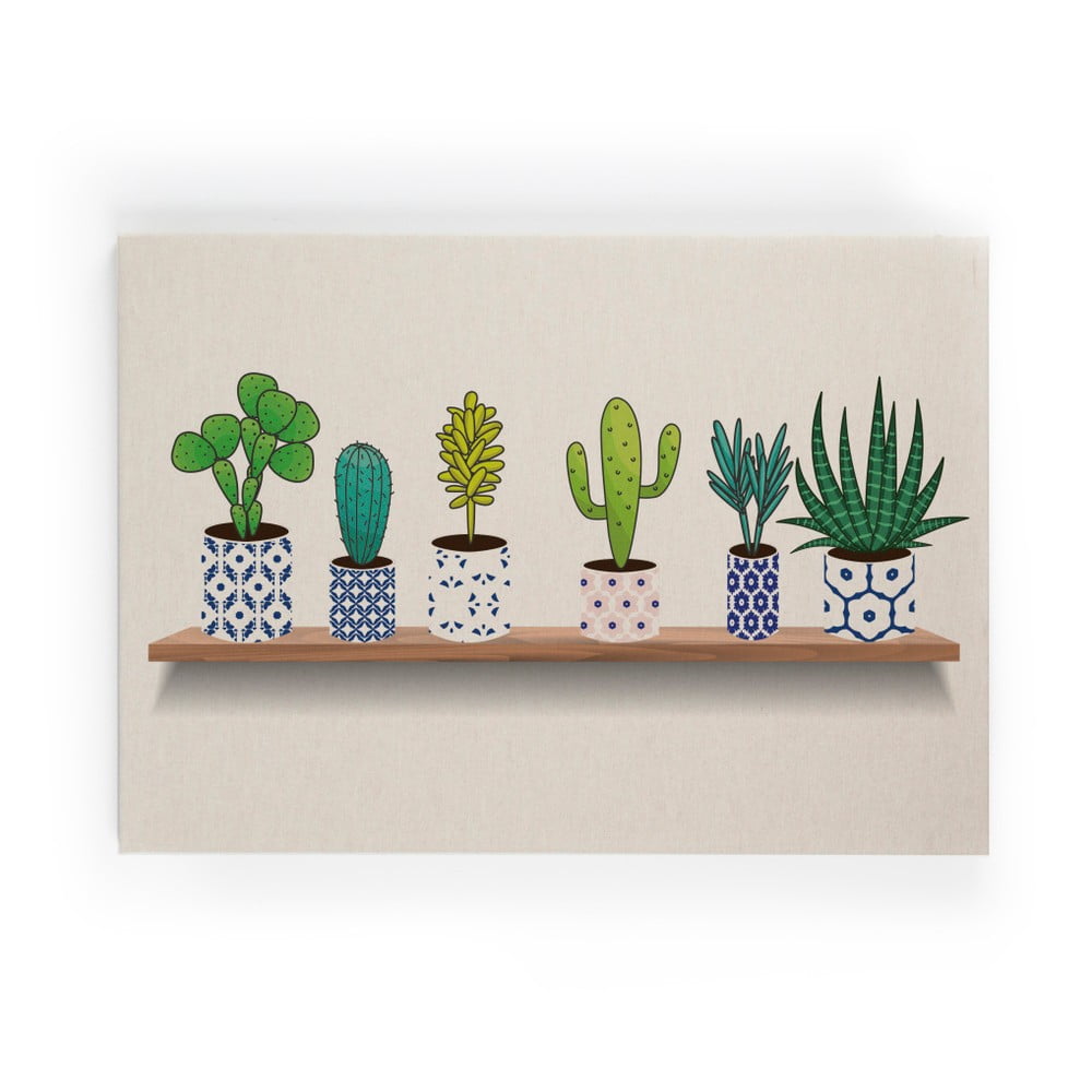 Lino Cactus Shelve vászonkép