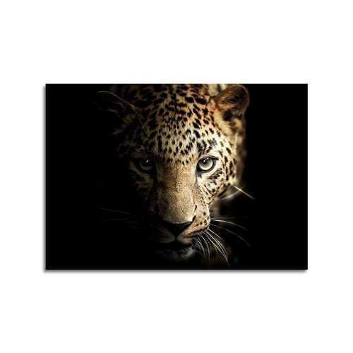 Üveg kép 70x100 cm Leopard - Styler