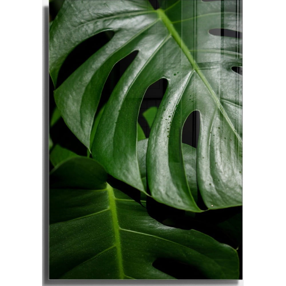 Üveg kép 50x70 cm Monstera – Wallity