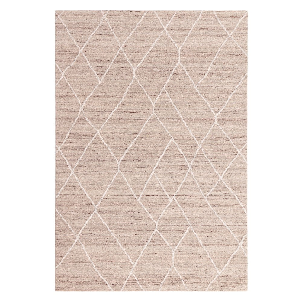 Bézs gyapjú szőnyeg 200x290 cm Noah – Asiatic Carpets