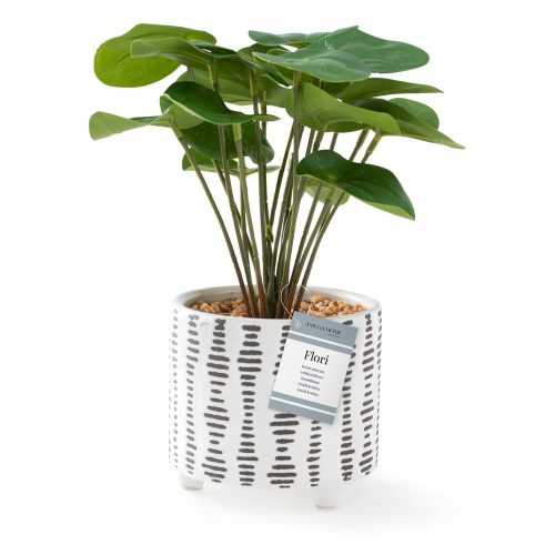 Műnövény (magasság 23 cm) Flori Pilea – AmeliaHome