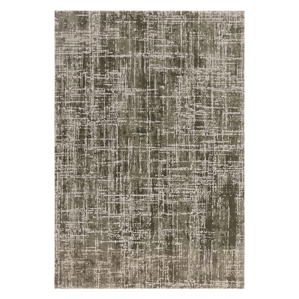 Khaki szőnyeg 240x340 cm Kuza – Asiatic Carpets