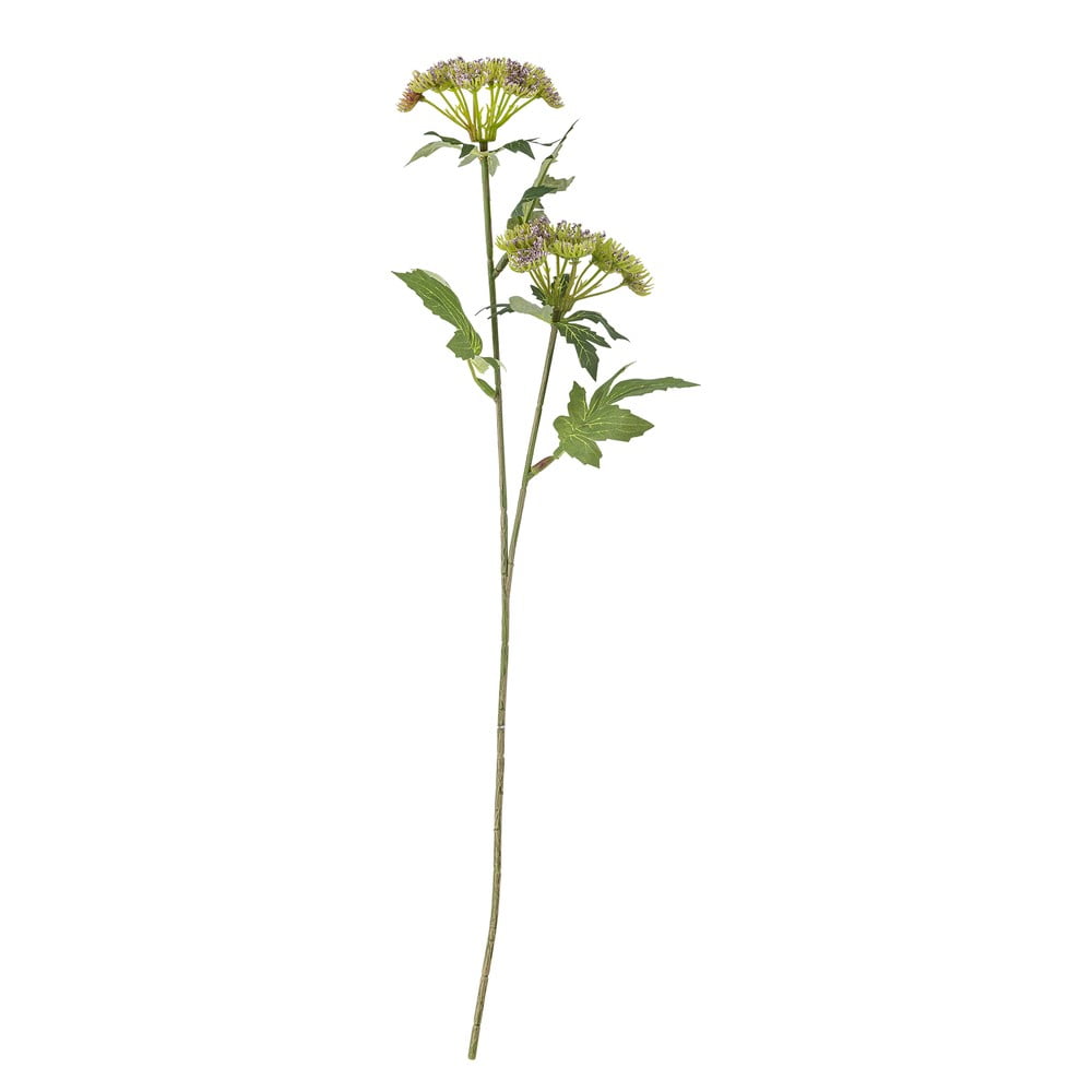 Műnövény (magasság 49 cm) Throatwort – Bloomingville