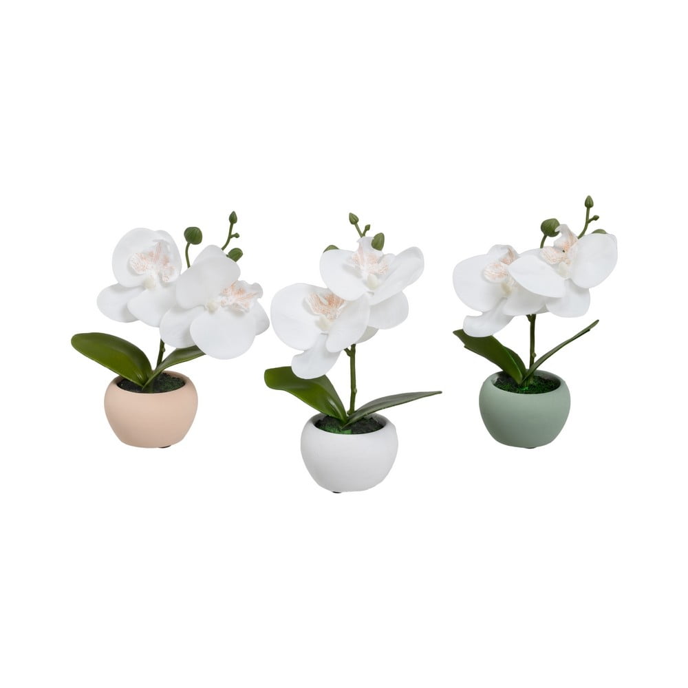 Műnövény szett 3 db-os (magasság 15 cm) Orchid – Casa Selección