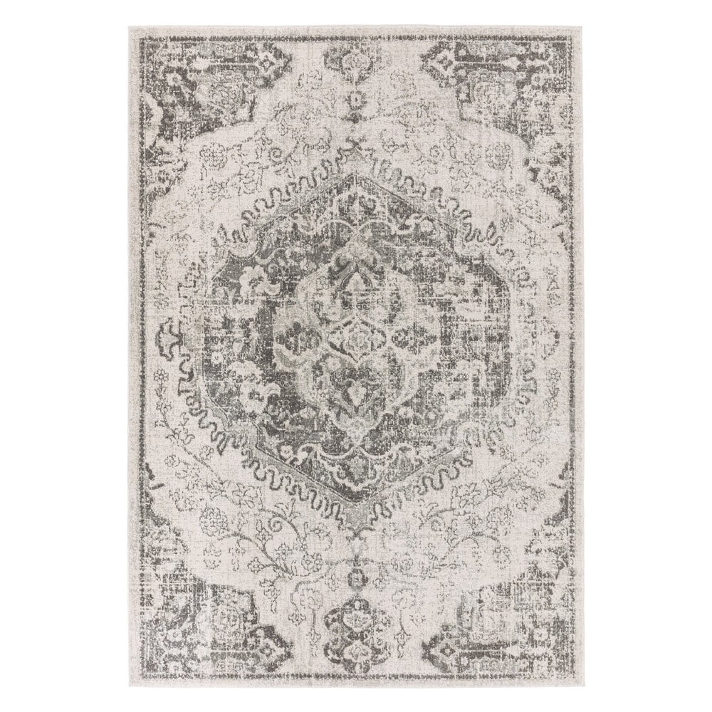 Szürke-krémszínű szőnyeg 160x230 cm Nova – Asiatic Carpets