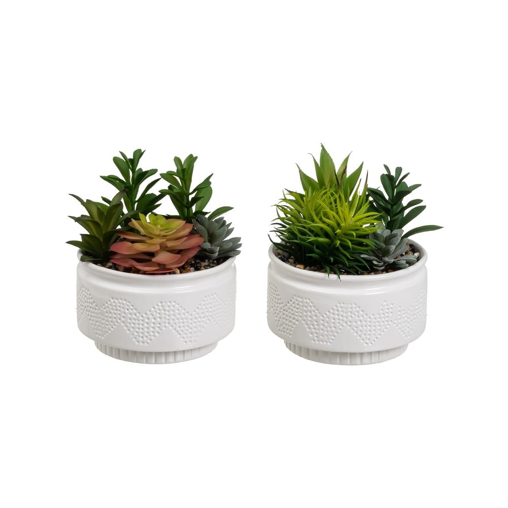 Műnövény szett 2 db-os (magasság 19 cm) Cactus – Casa Selección