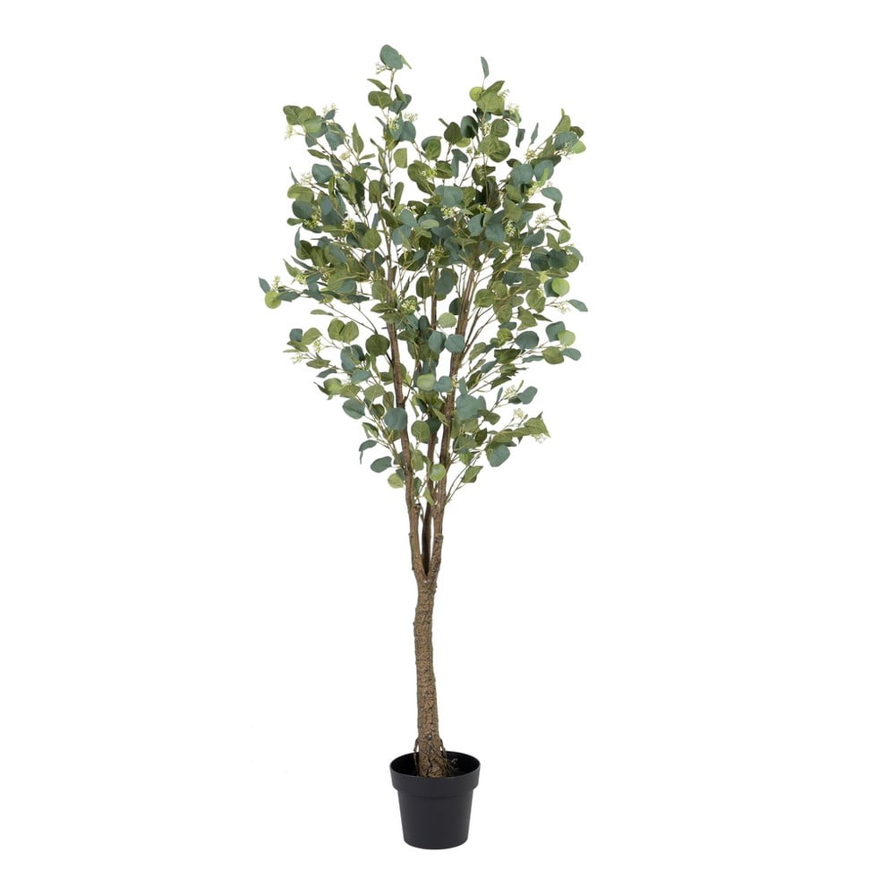 Eukaliptusz műnövény (magasság 173 cm) Eucalyptus – Ixia