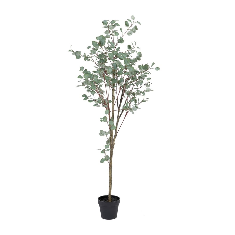 Eukaliptusz műnövény (magasság 180 cm) Eucalyptus – Ixia