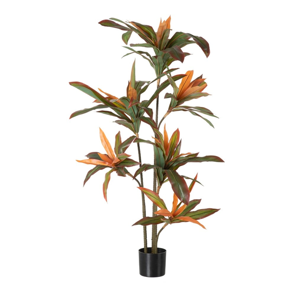 Műnövény (magasság 140 cm) Dracena – Ixia