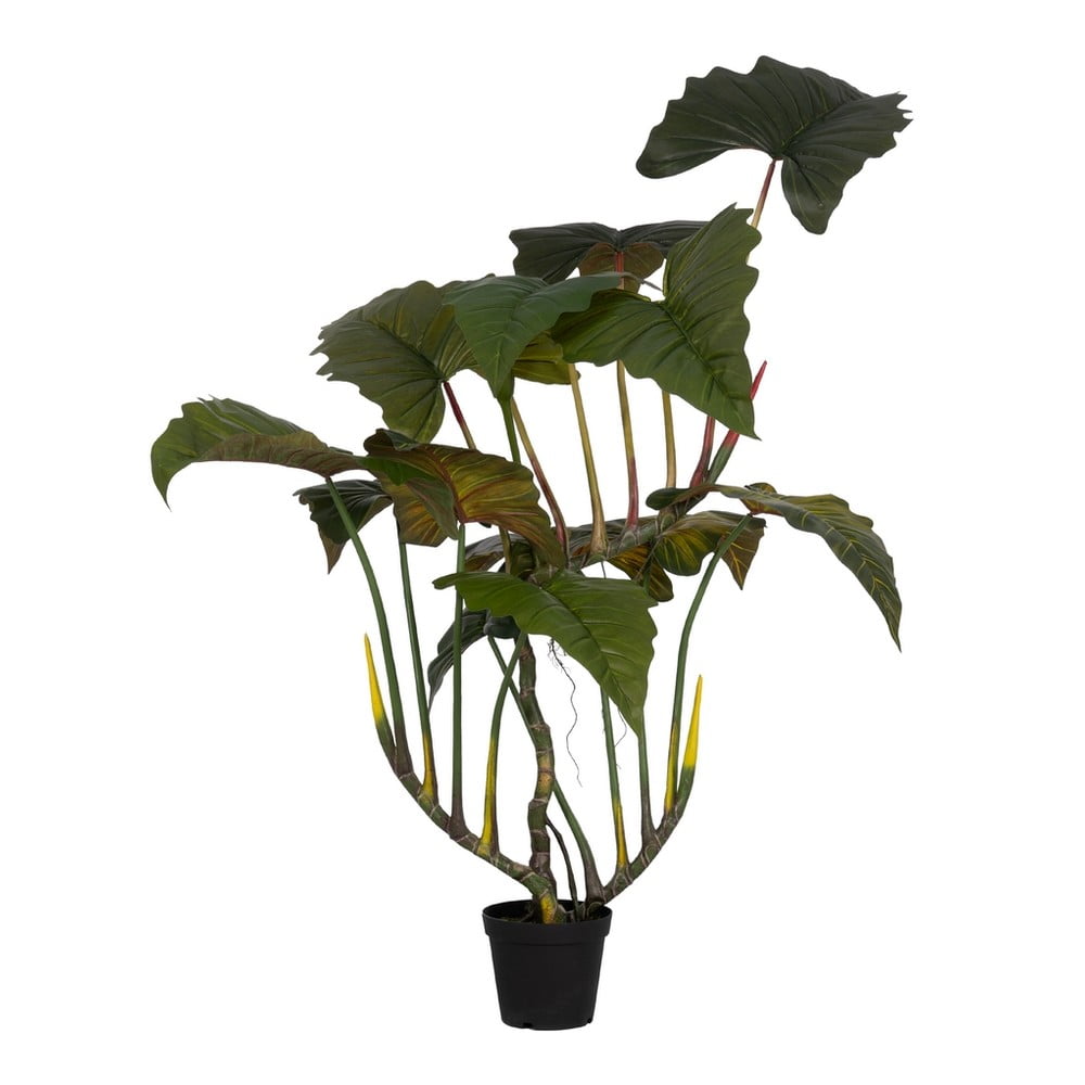 Műnövény (magasság 185 cm) Alocasia – Ixia