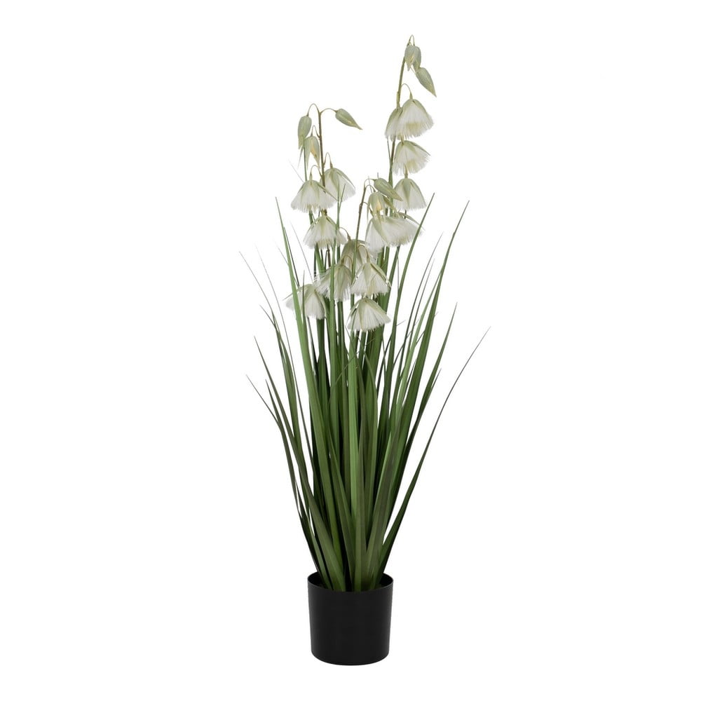 Műnövény (magasság 91 cm) – Ixia