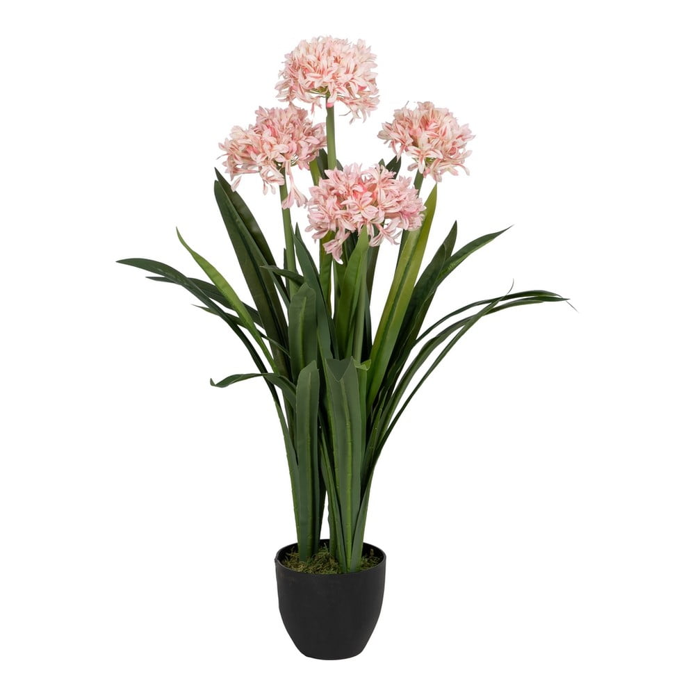 Művirág (magasság 100 cm) Hyacinth – Ixia