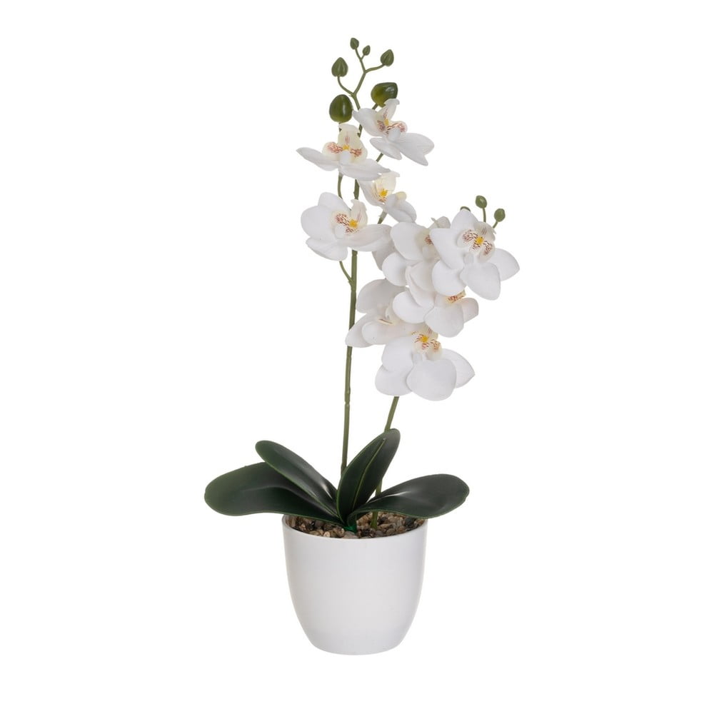 Művirág (magasság 39 cm) Orchid – Casa Selección